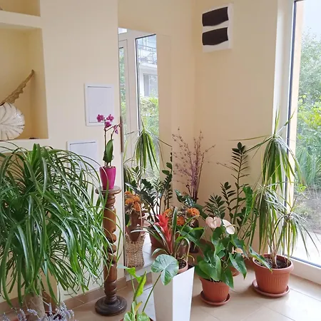 Apartament в непосредствена близост до плажа Burgas