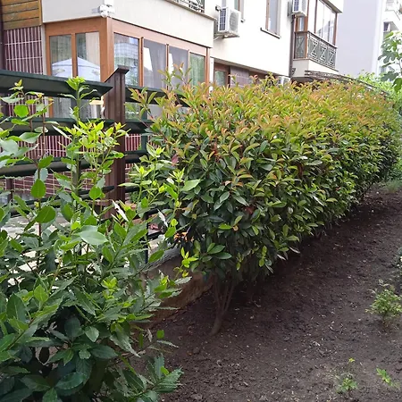 в непосредствена близост до плажа Apartmán Burgas City