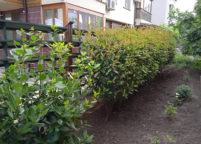 в непосредствена близост до плажа Apartamento Burgas